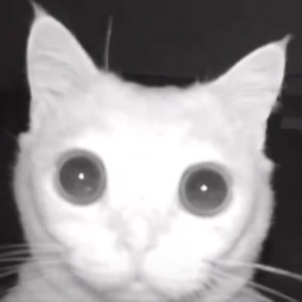 CE_Boy why u so eyes