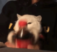 Cute cat Discord sticker