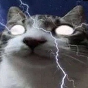 Angrycat Discord sticker