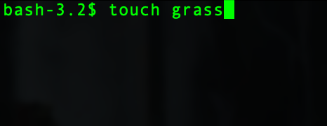 Touch grass
