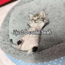 coolin Discord sticker