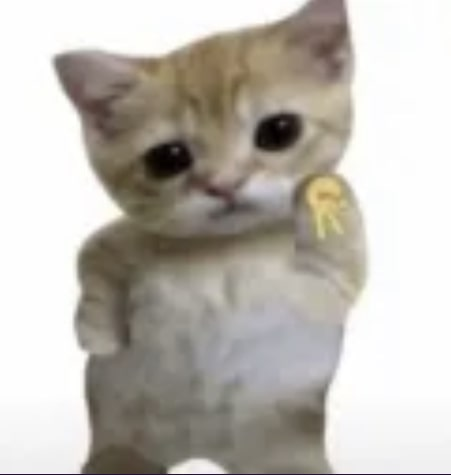 Yolo cat Discord sticker