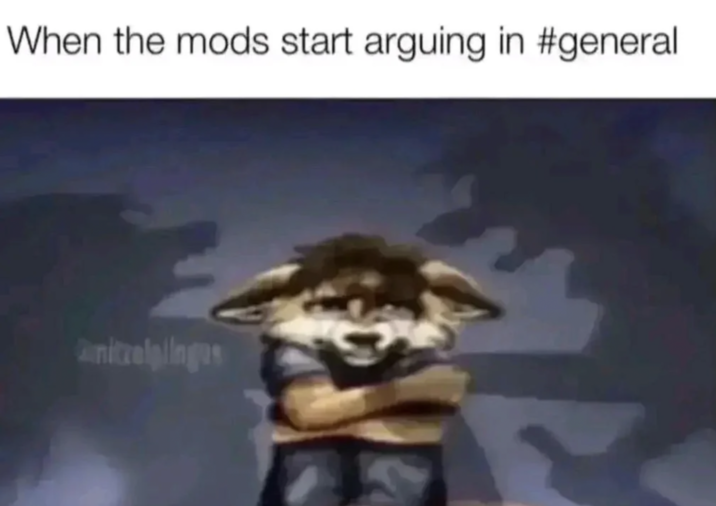 STOOOP FIGHTIIIIIING 🐶