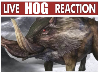 LiveHogReaction