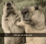 Let him cook Discord sticker