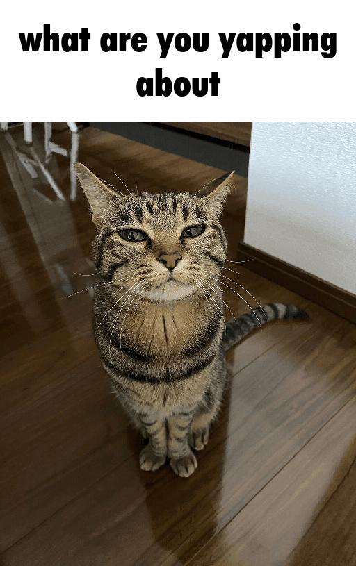 what are you yapping about