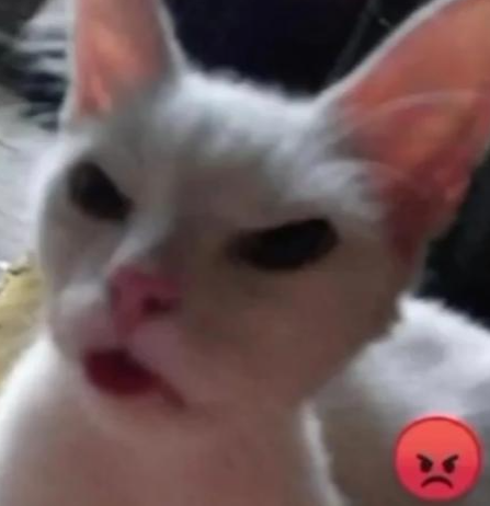 cat mad (.gg/soundeffects)