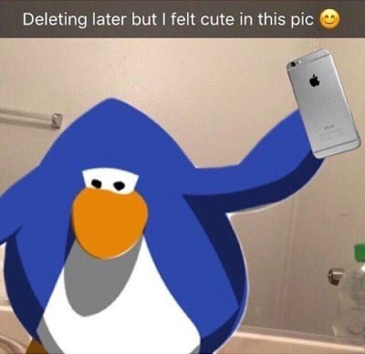 feltcuteselfie Discord sticker
