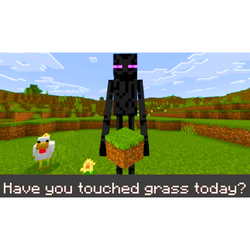 HaveYouTouchedGrassToday