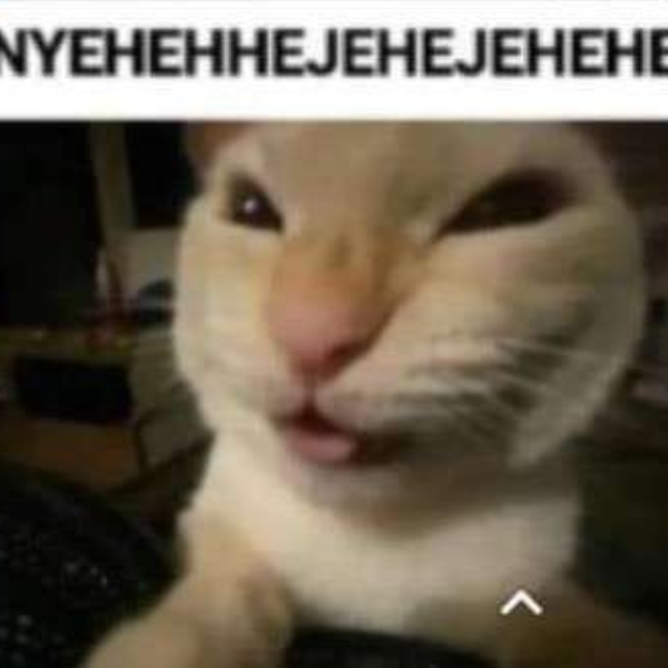 nyehehe evil cat laugh Discord sticker
