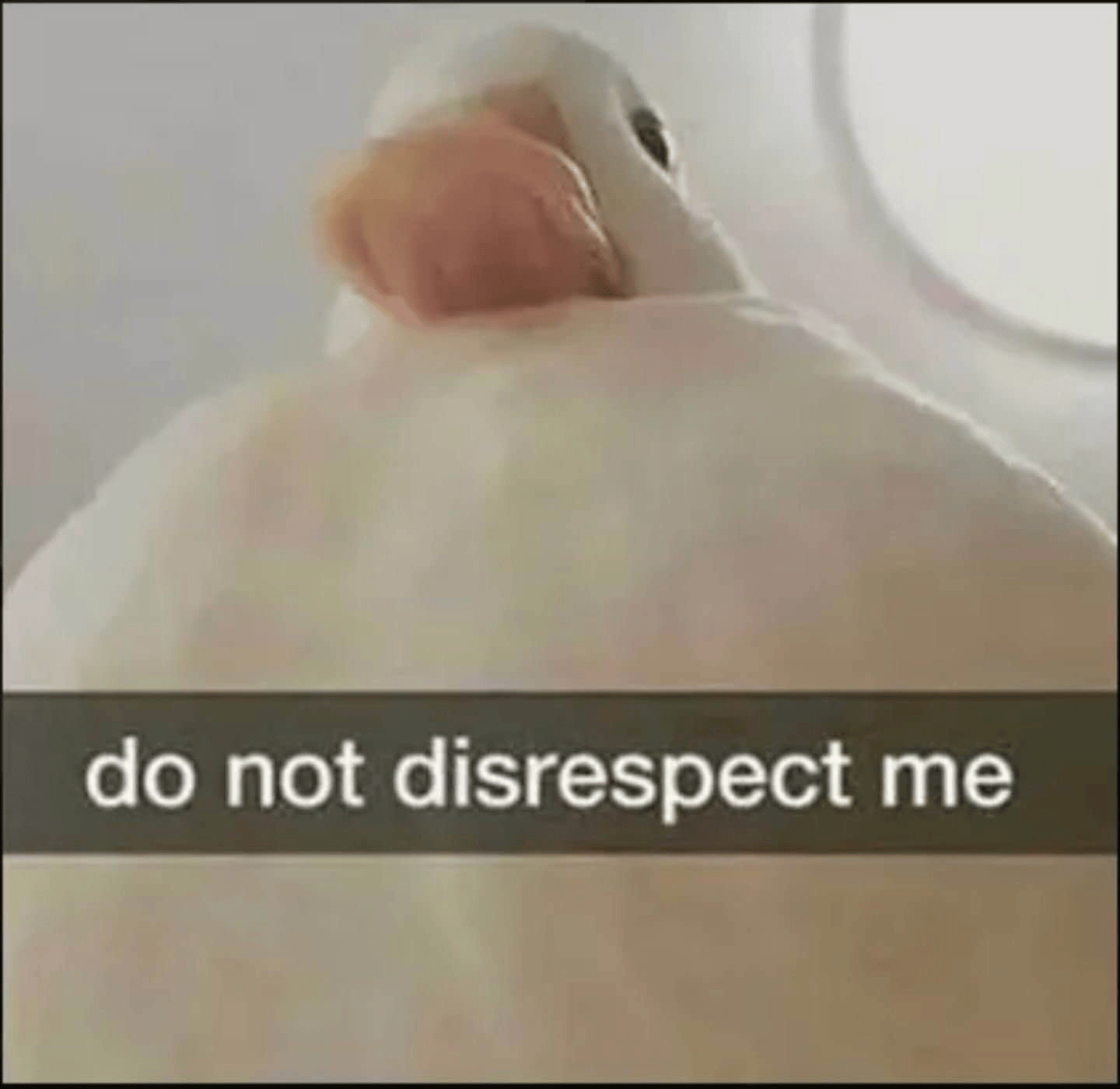 disrespect Discord sticker