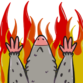 Possum Fire