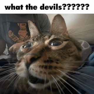 what the devils??????
