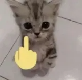 angry |  gg/pakistan