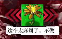 这个太麻烦了，不做