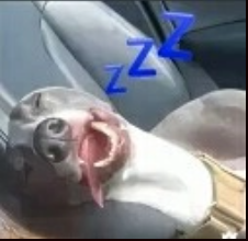 ZZZ           .gg/lco Discord sticker