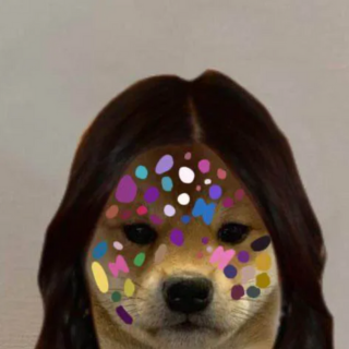 liv dog Discord sticker