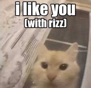 I like you rizz