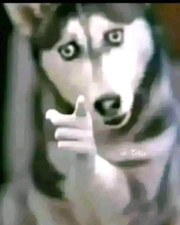 Watch Your Mouth Discord sticker