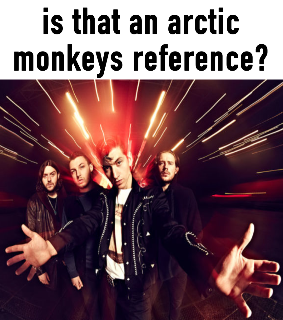 is that an arctic monkeys ref?