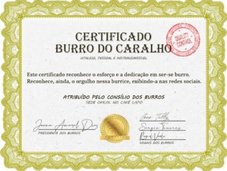 Certificado Burro do Caralho Discord sticker