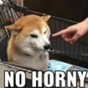 NO HORNY  /egirls
