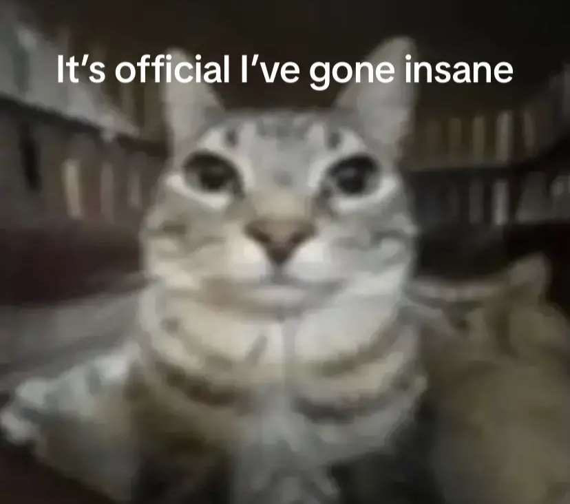 insane (.gg/soundeffects)