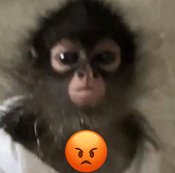 angry-monkey (.gg/soundeffects