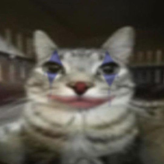 cat clown