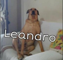 Leandro