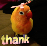 Thank Discord sticker