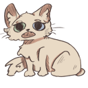 blip meow Discord sticker