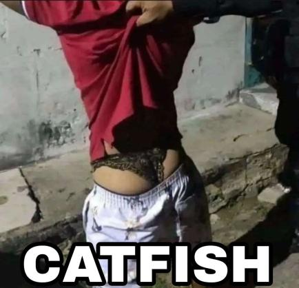 catfish