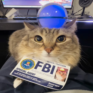 fbicat Discord sticker