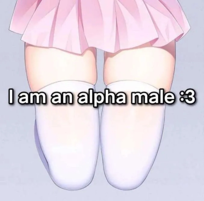 alpha male meow