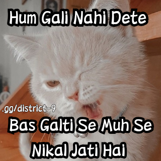 Gali nahi dete  Discord sticker