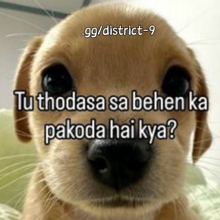 Pakoda Discord sticker