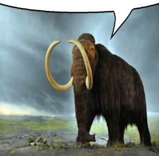 mammoth