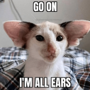 all ears Discord sticker