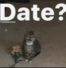 wanna date Discord sticker