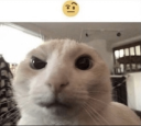 sus Discord sticker