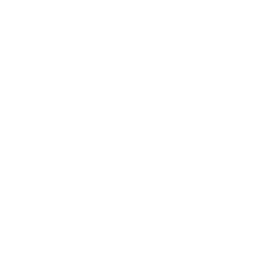 stft Discord sticker