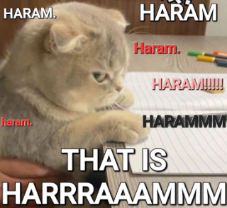 HAAARRRAAAMMM??!!!!!