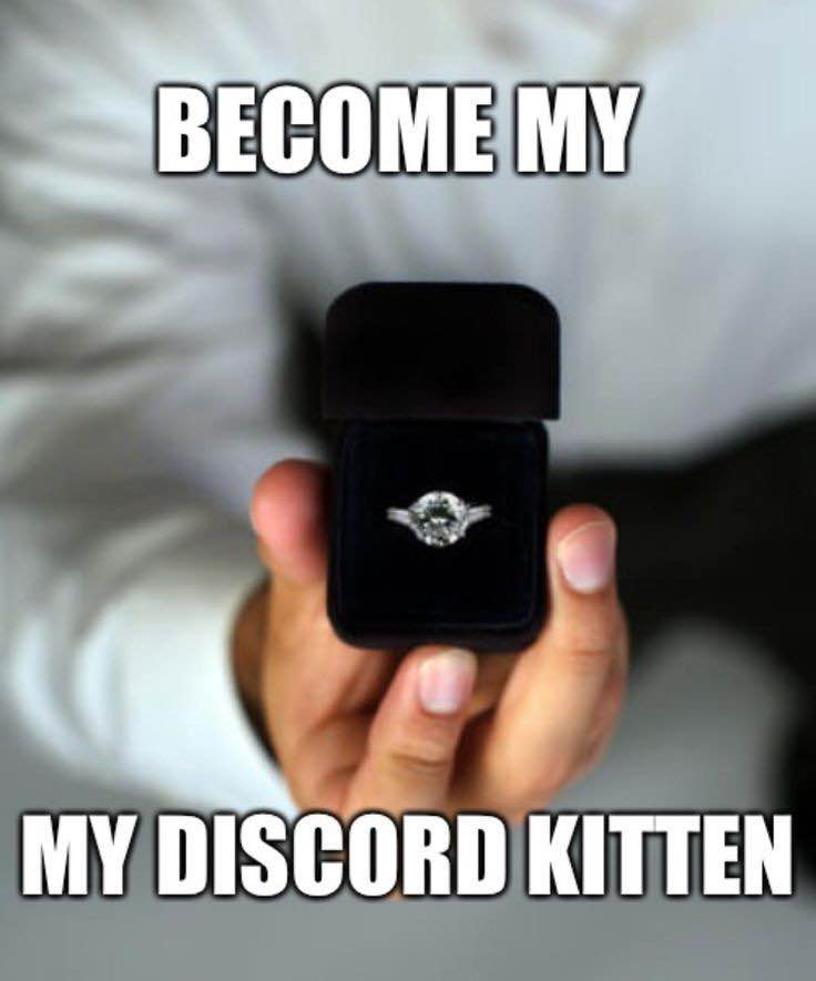 be my ekitten /angel