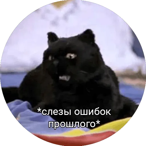 слёзы ошибок прошлого Discord sticker