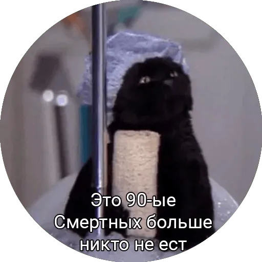 На диете Discord sticker