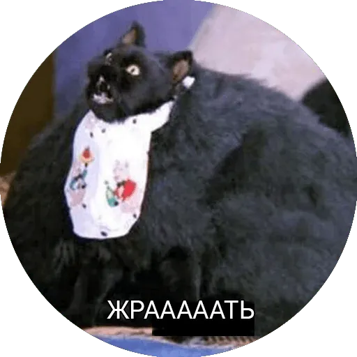 жрать! Discord sticker