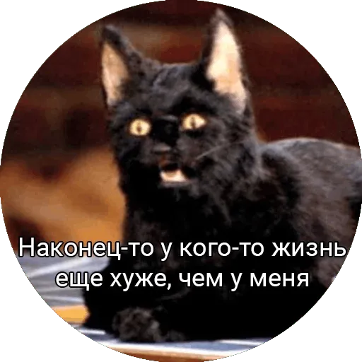 Жизнь - боль Discord sticker