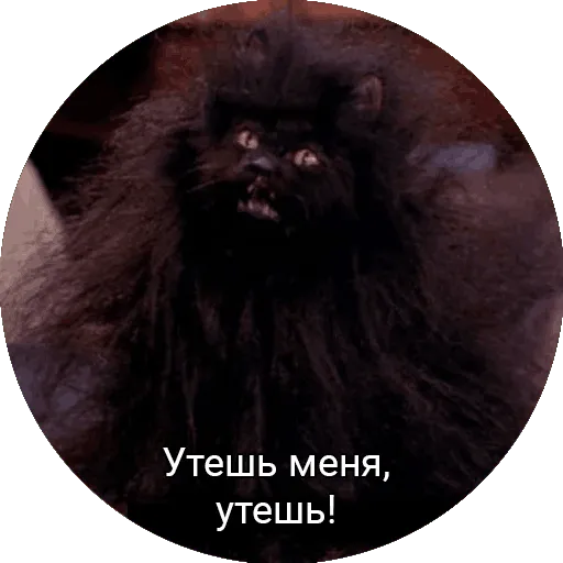 Утешь меня Discord sticker