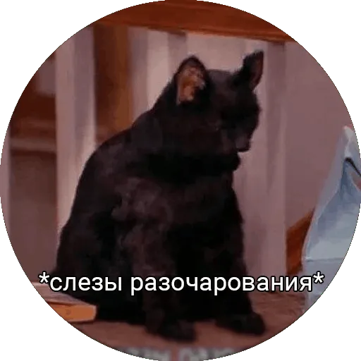 Слёзы разочарования  Discord sticker